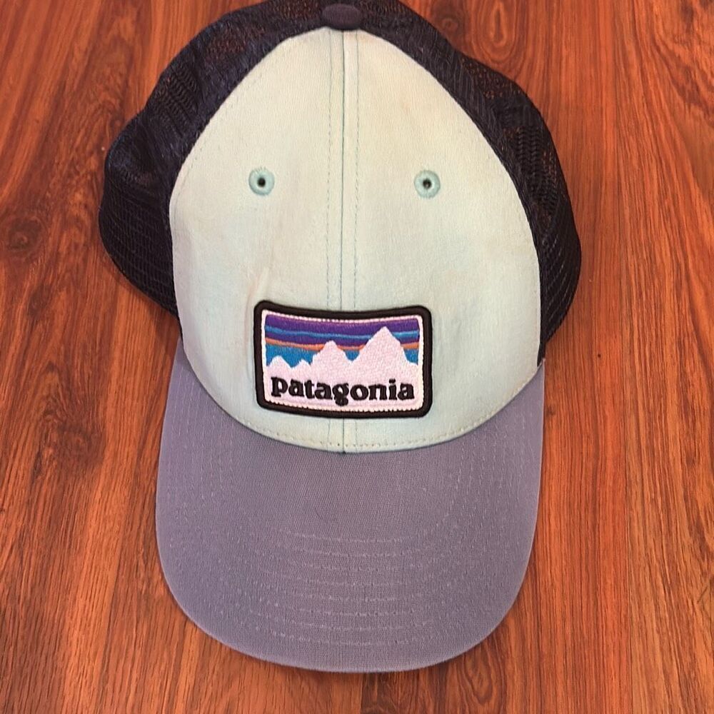 Patagonia blue trucker hat
